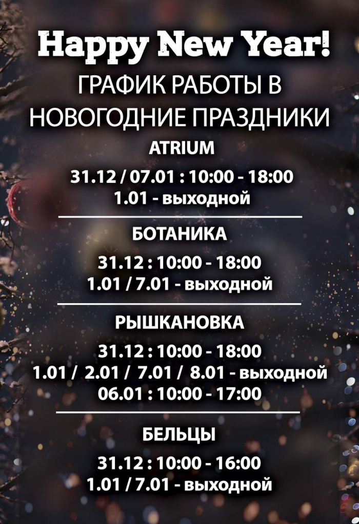 NewYear-2022-рус-сайт.jpg