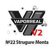 VAPORREAL V2 - №22 Grape Mint
